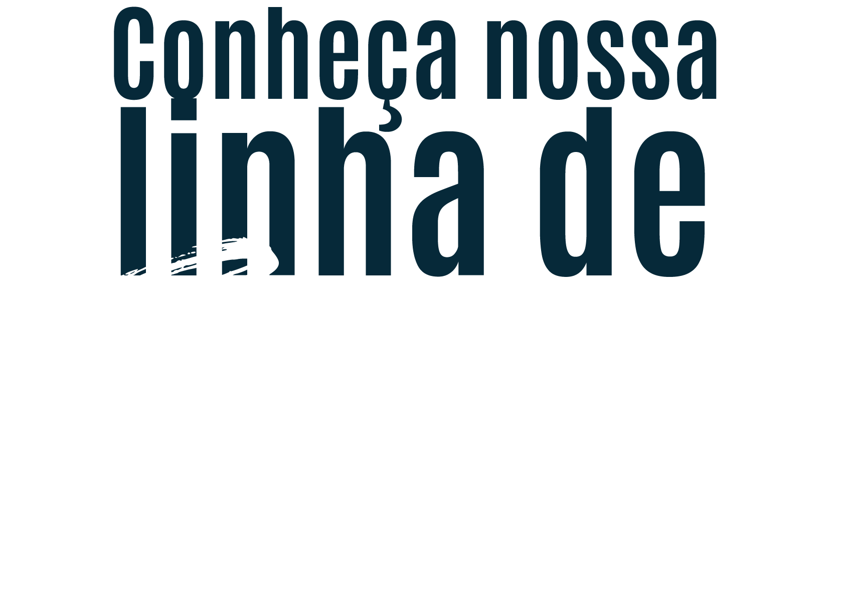 Conheça nossa linha de sucos